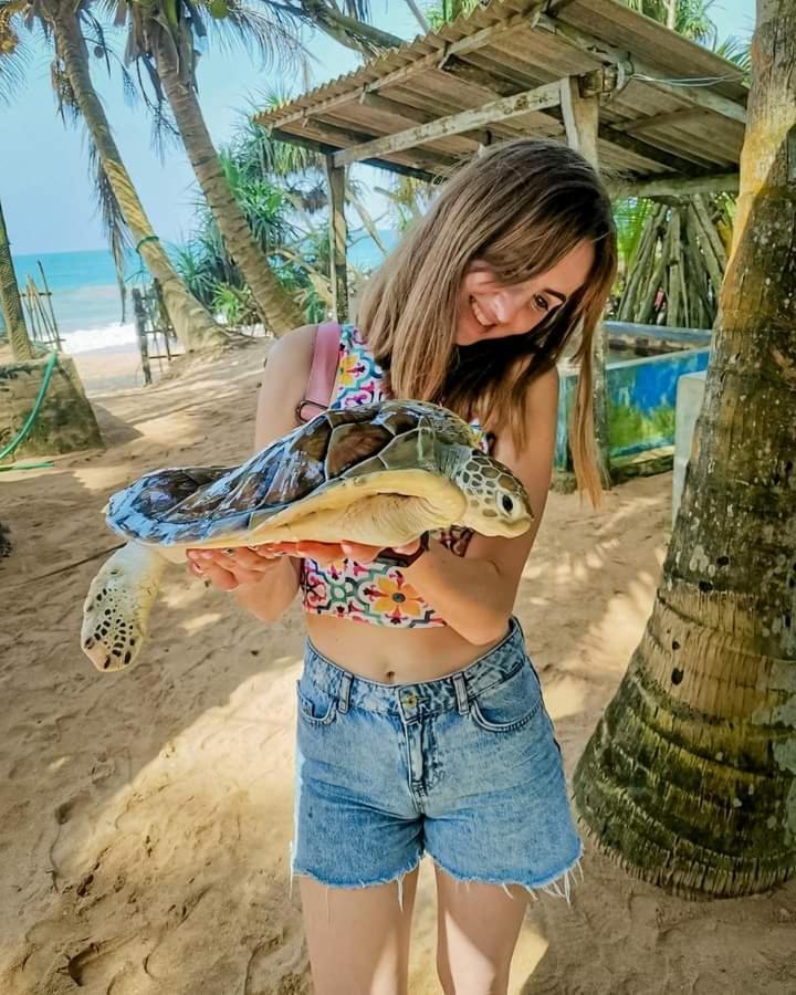 Ceylon Serenity Villas Берувала Экстерьер фото